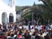 t_d_agapis 013